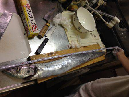 また引き釣りでドラゴン